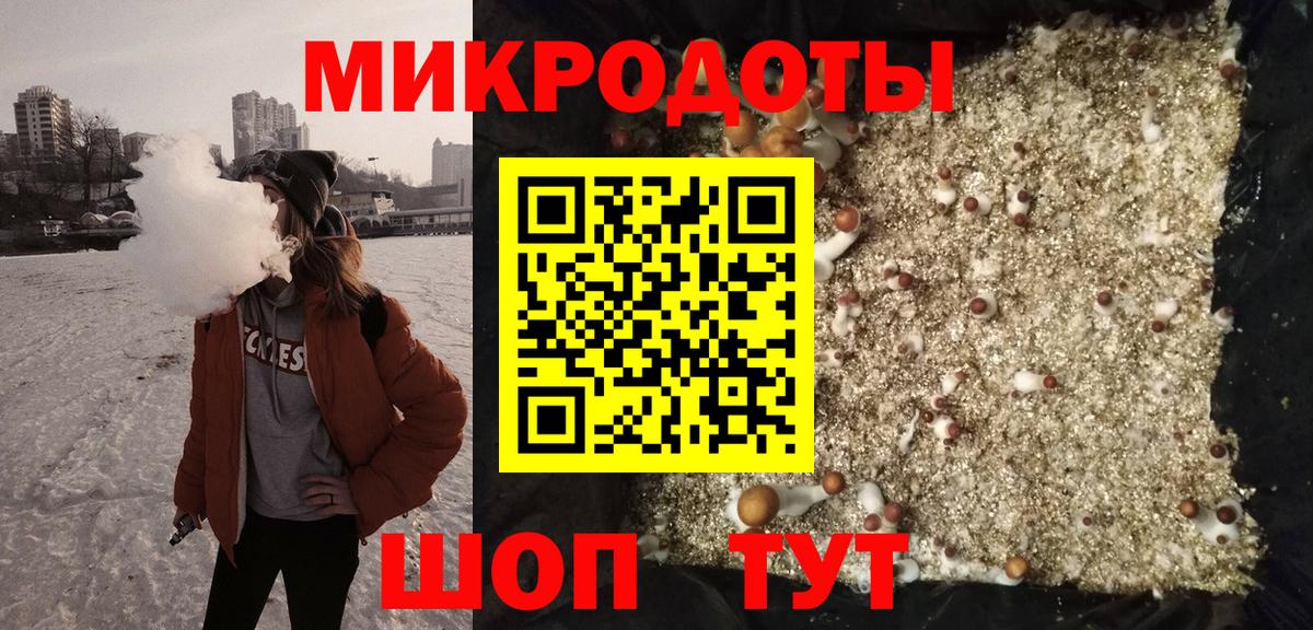 Псилоцибиновые грибы Psilocybine cubensis Чехов