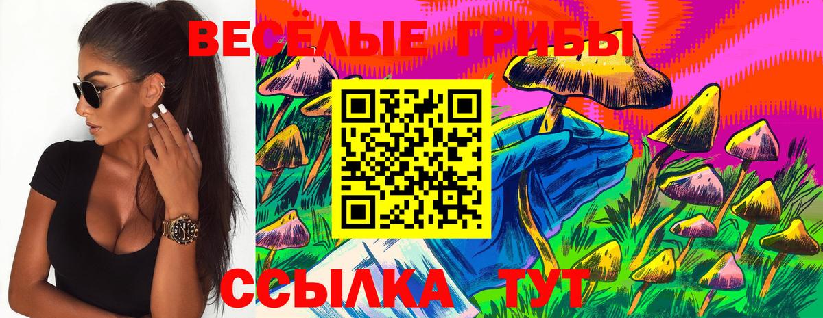 сколько стоит  Галлюциногенные грибы Psilocybe  Вход с VPN  Чехов 